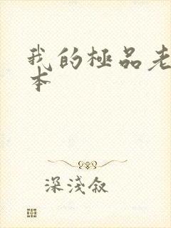 我的极品老婆全本封面