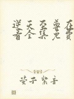 逆天至尊在线观看全集免费观看动漫179