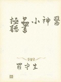 极品小神医小说听书