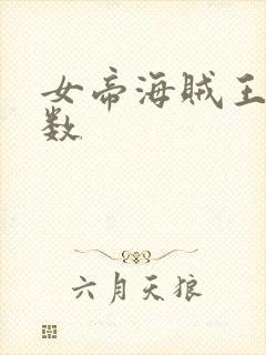 女帝海贼王 调数