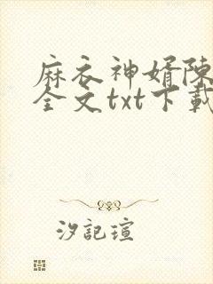麻衣神婿陈黄皮全文txt下载