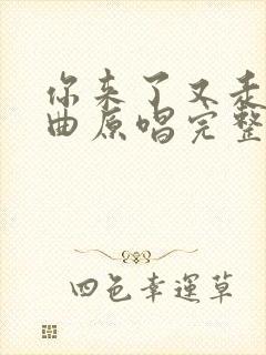 你来了又走了歌曲原唱完整版