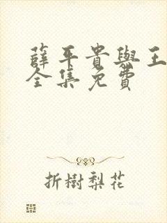 薛平贵与王宝钏全集免费封面