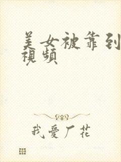 美女被靠到爽的视频封面