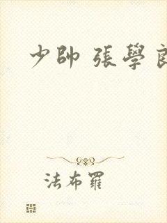 少帅 张学良封面