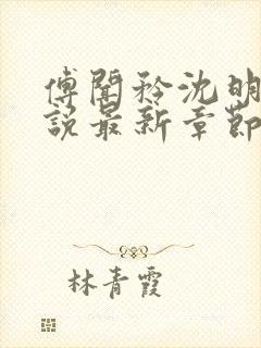 傅闻矜沈明月小说最新章节阅读免费封面