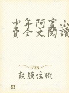 少年阿宾小说免费全文阅读无删减封面