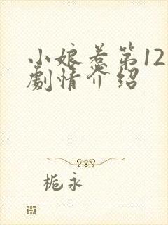 小娘惹第12集剧情介绍
