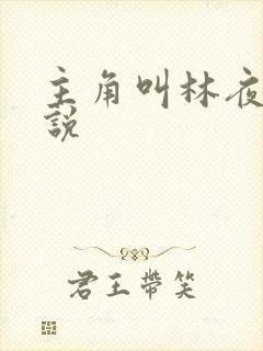 主角叫林夜的小说