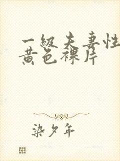 一级夫妻性生活黄色裸片