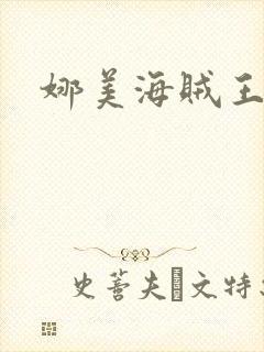 娜美海贼王调数