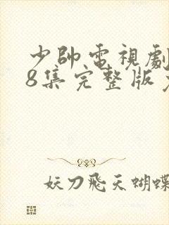 少帅电视剧第48集完整版免费