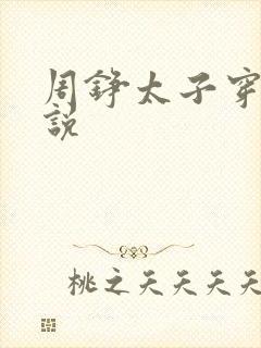 周铮太子穿越小说