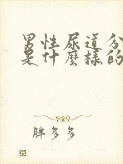 男性尿道分泌物是什么样的