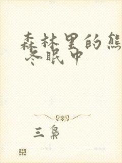 森林里的熊先生 冬眠中