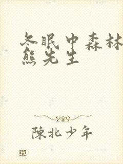 冬眠中森林里的熊先生