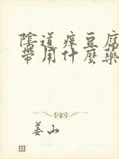 阴道痒豆腐渣白带用什么药