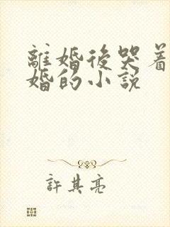 离婚后哭着求复婚的小说