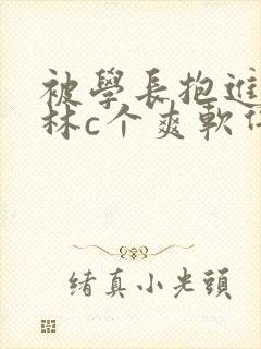 被学长抱进小树林c个爽软件