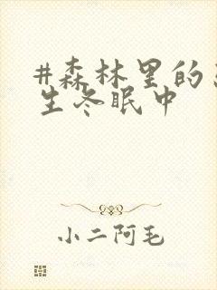 #森林里的熊先生冬眠中