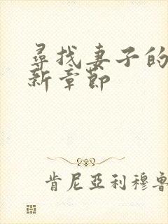 寻找妻子的秘密新章节