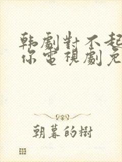 韩剧对不起我爱你电视剧免费观看封面