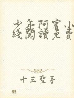 少年阿宾小说在线阅读免费全文