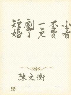 短剧一不小心闪婚了免费看