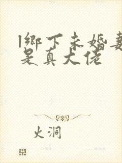 l乡下未婚妻竟是真大佬