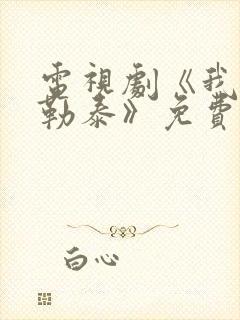 电视剧《我的阿勒泰》免费观看