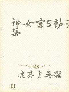 神女宫5动漫全集