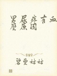 男尿疼有血是什么原因