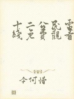 十二公民电影在线免费观看无弹窗