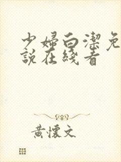 少妇白洁免费小说在线看