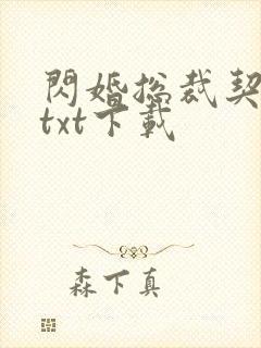 闪婚总裁契约妻txt下载