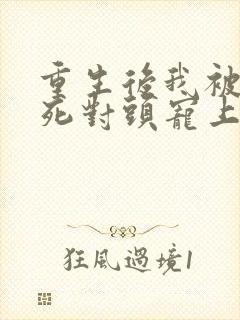 重生后我被渣男死对头宠上天