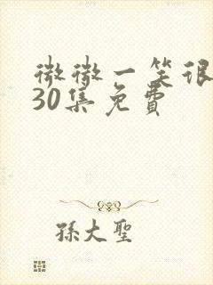 微微一笑很倾城30集免费