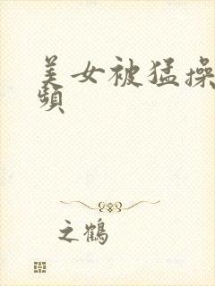 美女被猛操的视频