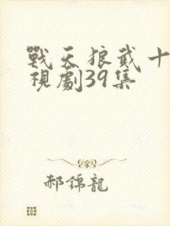 战天狼武十三电视剧39集