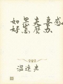 如果夫妻感情不好怎么办封面