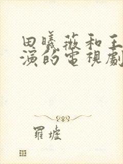 田曦薇和王星越演的电视剧