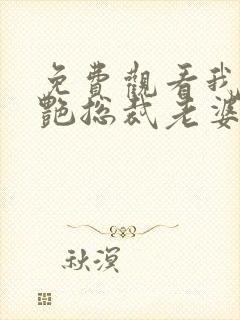 免费观看我的冷艳总裁老婆小说封面