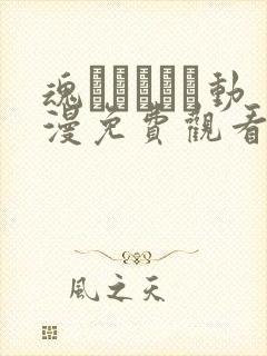 魂インサート动漫免费观看第一季