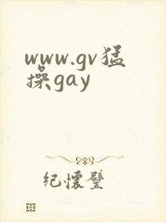 www.gv猛操gay封面