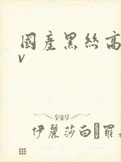 国产黑丝高跟av