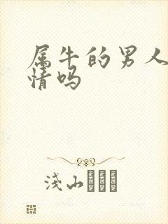 属牛的男人重感情吗