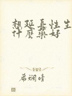 想延长性生活吃什么药好