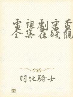 电视剧密查免费全集在线观看谍战迷