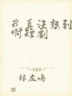 我真没想到重生啊短剧封面