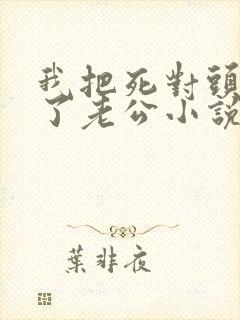 我把死对头养成了老公小说